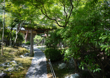 夏の風景3
