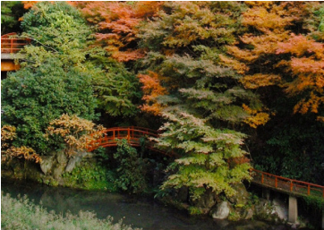 秋の風景2