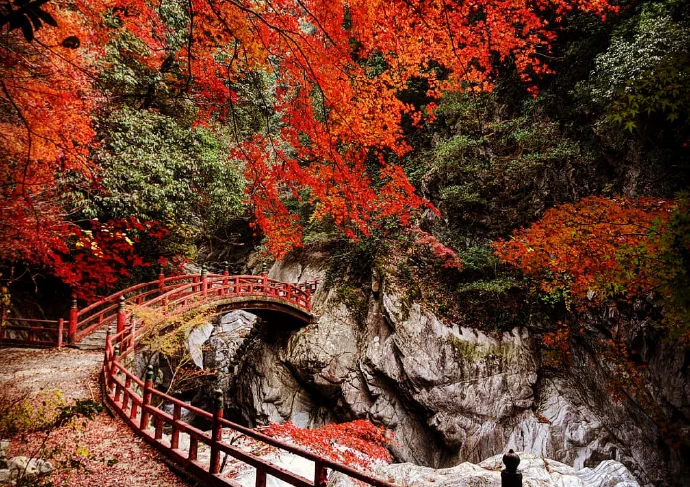 奥道後周辺の歴史的風景
